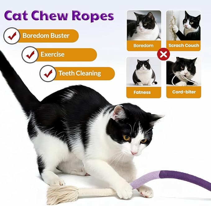 😻Catnip Chew Rope Toy – Natural, Safe Tooth Cleaner for Indoor Cats