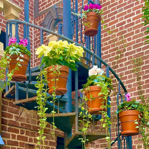 🌿 Turn Your Balcony Into an Oasis—Save 50% Today! ⏳  🔥 Flash Sale: Grab the 2026 Best-Seller at Half Price! 💸