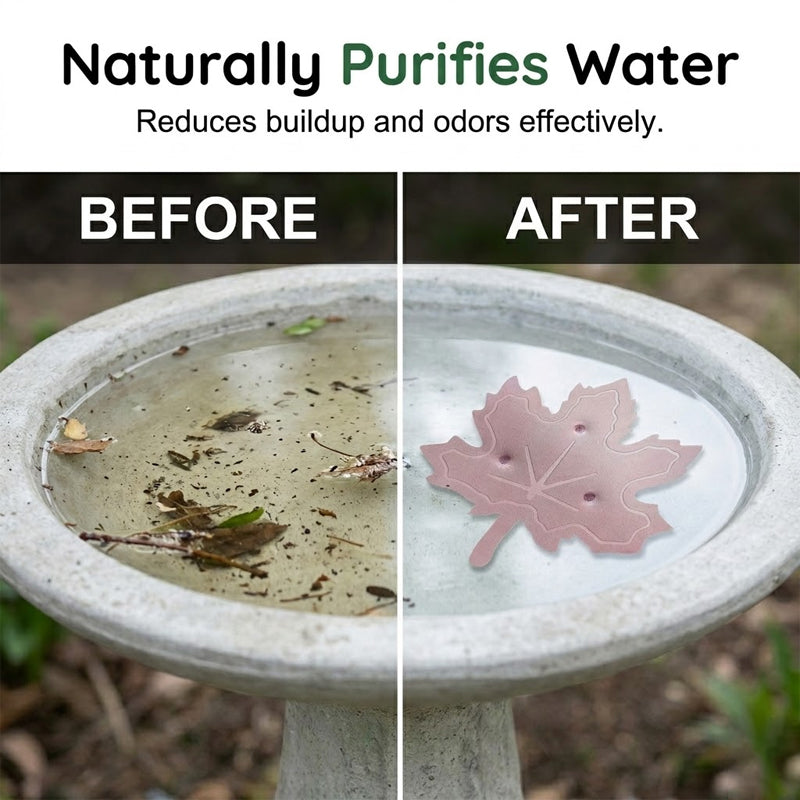 🔥Buy 1 Get 1 FREE!!💧Universal Bird Bath Purifier | Keep Water Crystal Clear & Algae-Free 🕊️