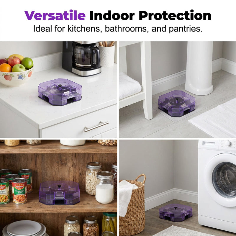🚨49% OFF | The Ultimate Reusable Roach Trap – Safe, Chemical-Free & 100% Effective! 🚫🪳