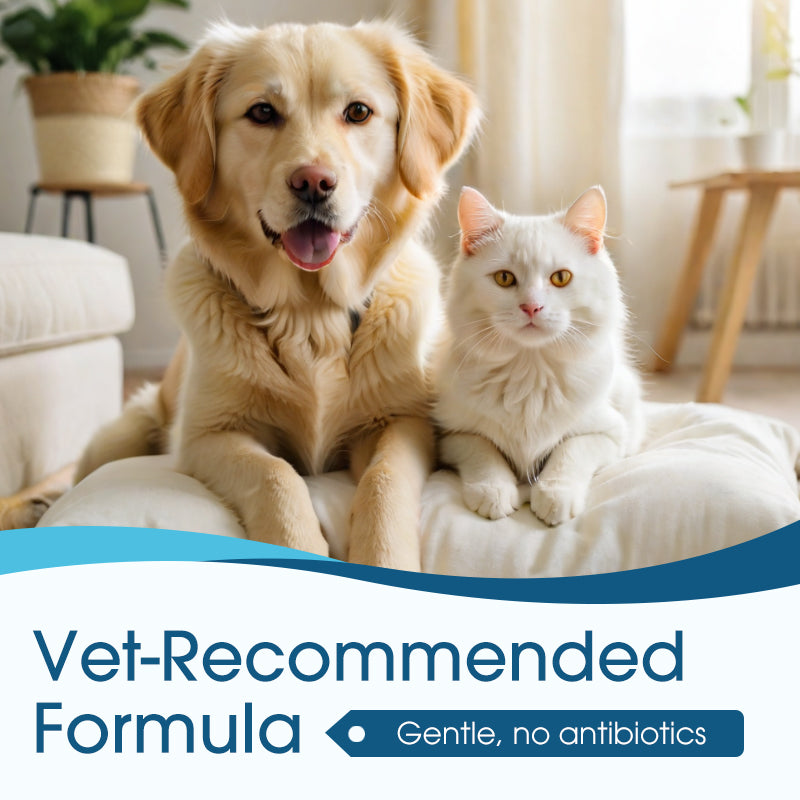 🔥 [Buy 2 Get 1 Free] Vet-Recommended Instant Relief Pet Anti-Itch Ear Cleaner 🐶🐱