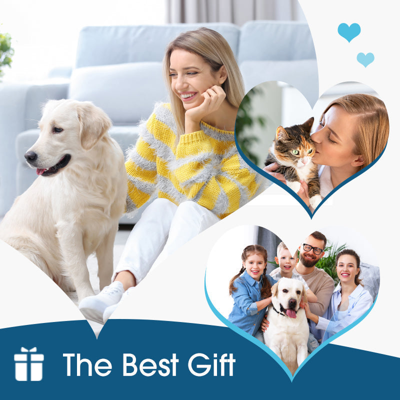 🔥 [Buy 2 Get 1 Free] Vet-Recommended Instant Relief Pet Anti-Itch Ear Cleaner 🐶🐱