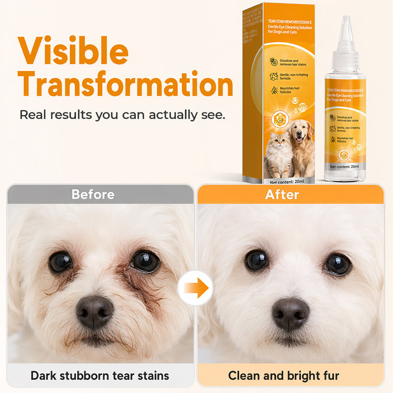 🐶 Enjoy 50% off now! ✨ Gentle pet eye care—cleaning the eye area and daily fur grooming 👀